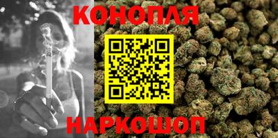 сатива Волжский