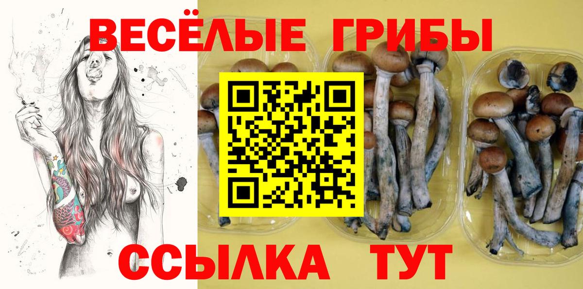 Псилоцибиновые грибы ЛСД  Галлюциногенные грибы Psilocybine cubensis  Сокол  Вход с VPN 